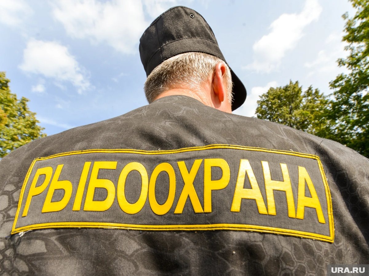     День государственных органов рыбоохраны РФ отмечают 7 апреля 2026