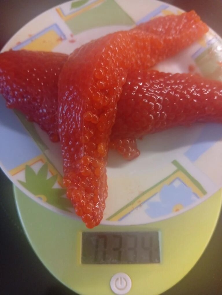 Это икра купленной сегодня форели