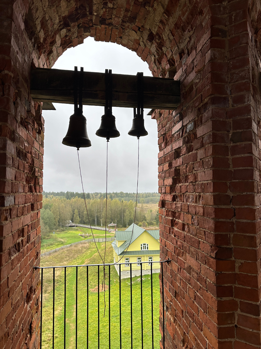 Фото автора.