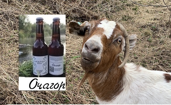 Минус 100 тысяч рублей… Приближение к потери