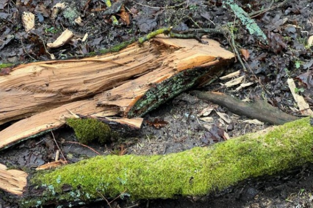   Фото из архива Калининград.Ru