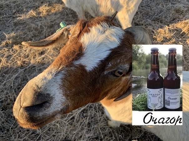 Минус 100 тысяч рублей… Потеря