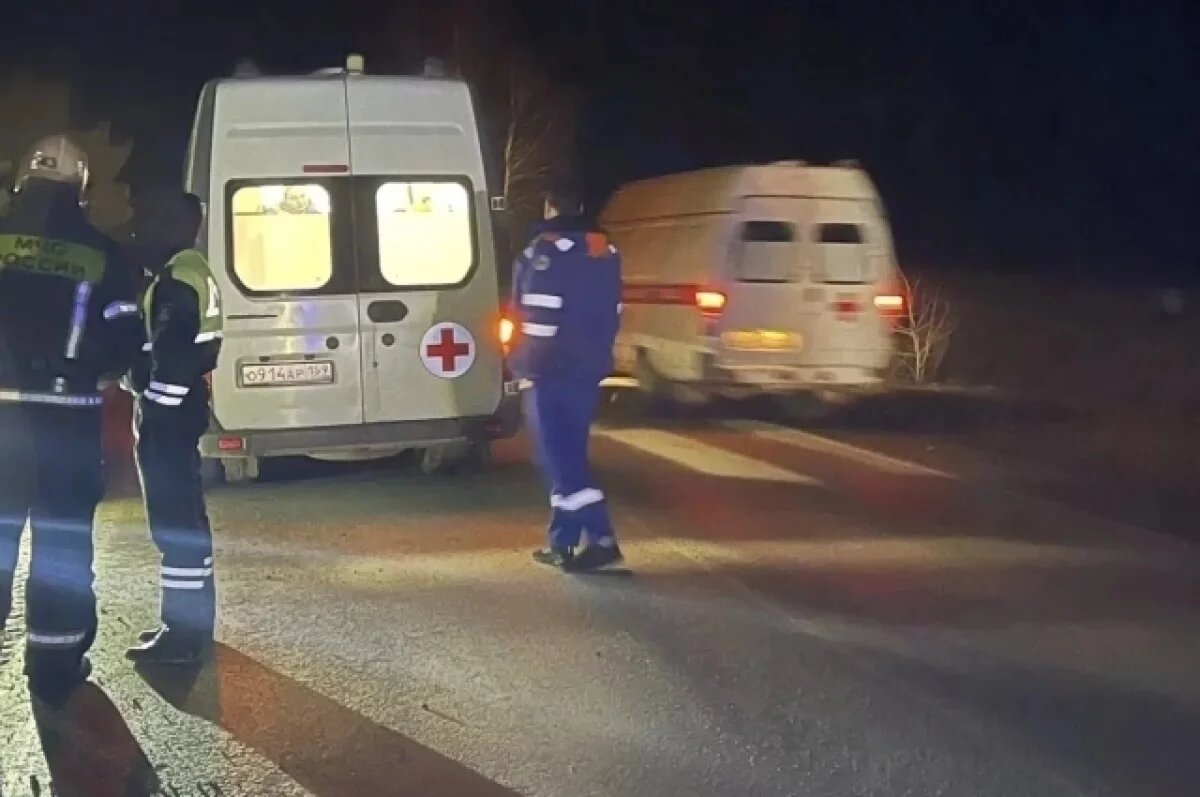    В МВД рассказали подробности ДТП, в котором пострадали женщина и ребёнок