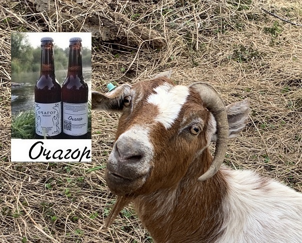 Минус 100 тысяч рублей… Может все-таки…?