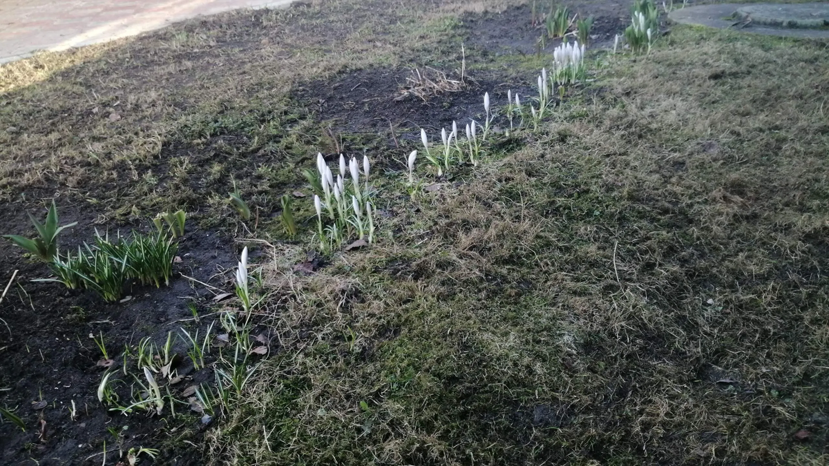 Фото автора.