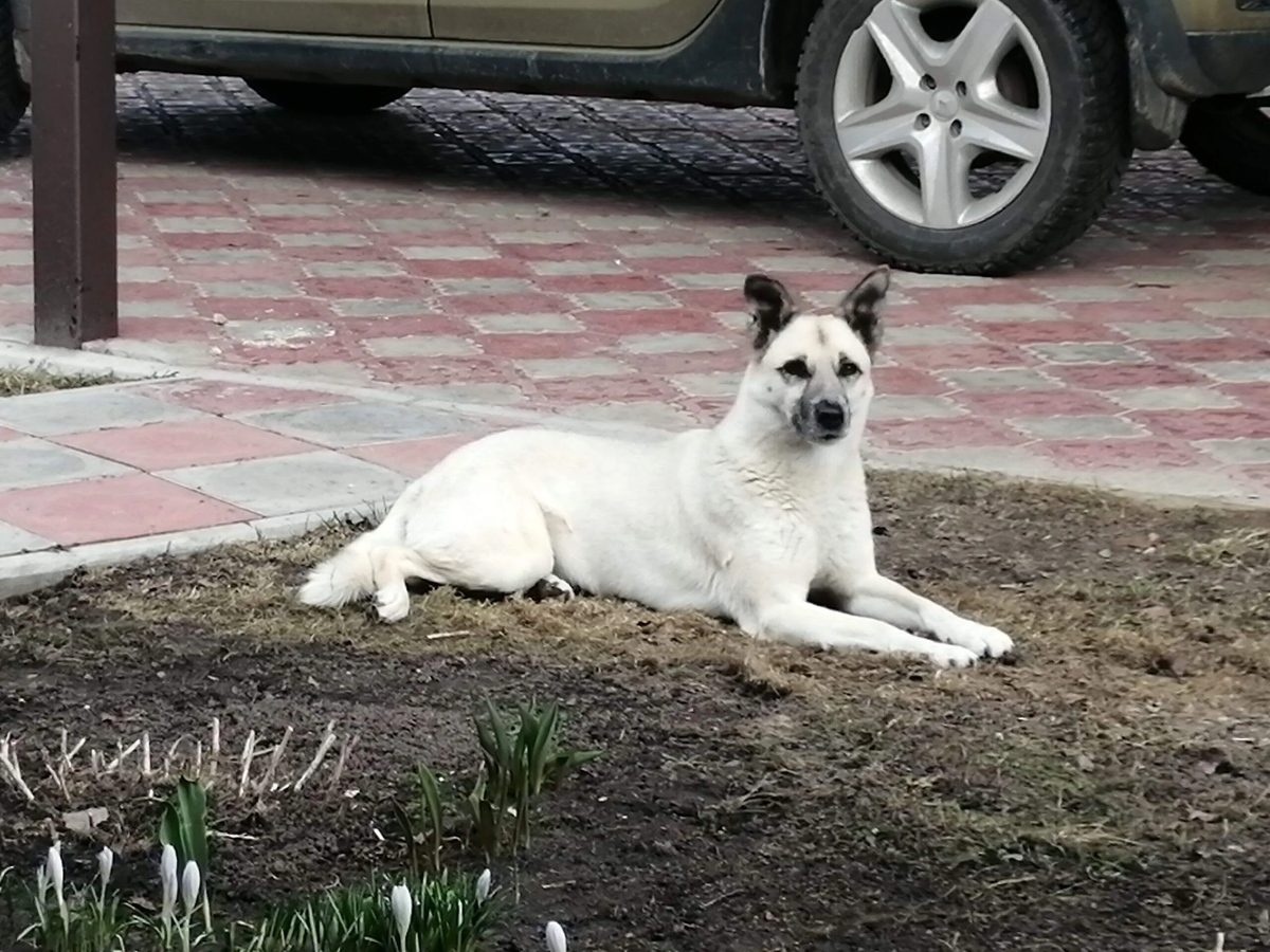 Вот она, красавица моя!