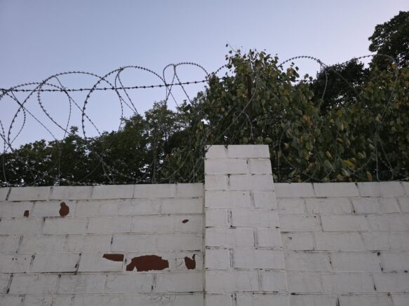    Фото: Элина Болдырева / Югополис