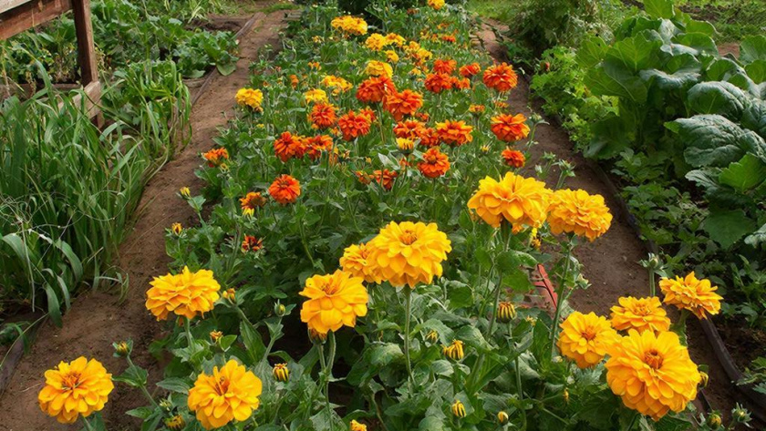    Создано нейросетями