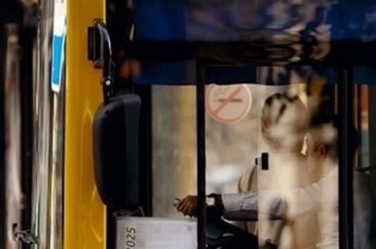    В Ярославле и Рыбинске добавят автобусные рейсы до кладбищ