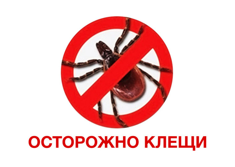ТОТАЛЬНАЯ ЗАЩИТА от клещей: пошаговая инструкция по выживанию