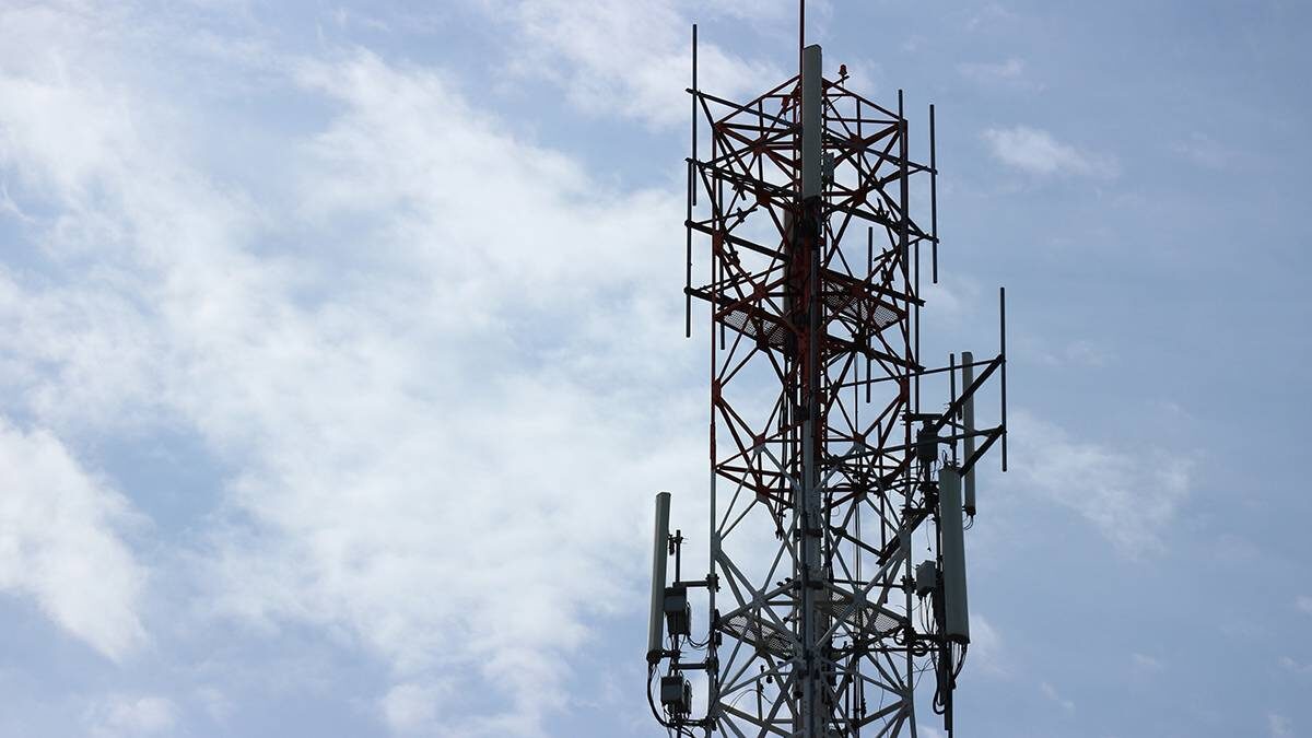    Фото: Shutterstock