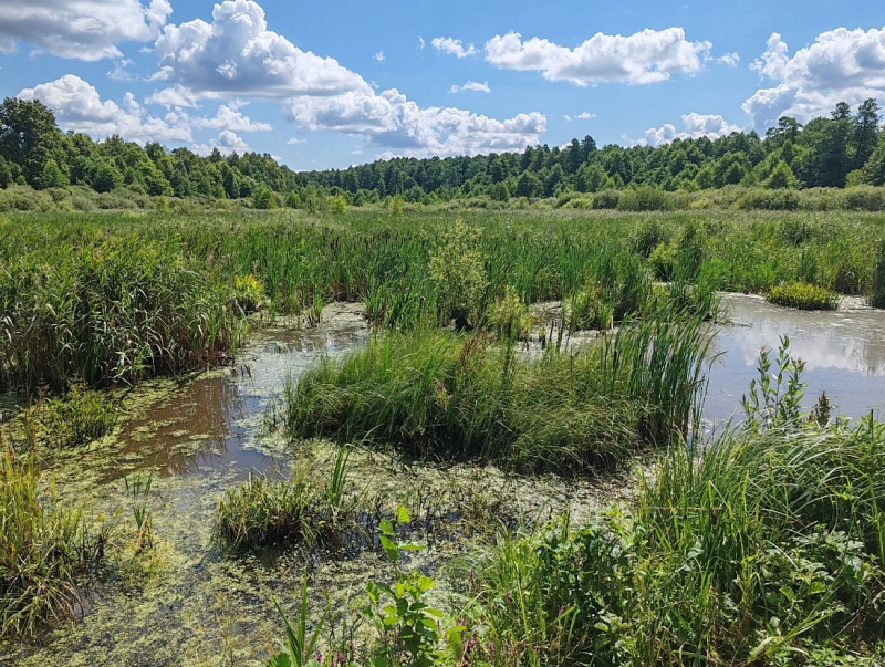     © фото - администрация Курской области