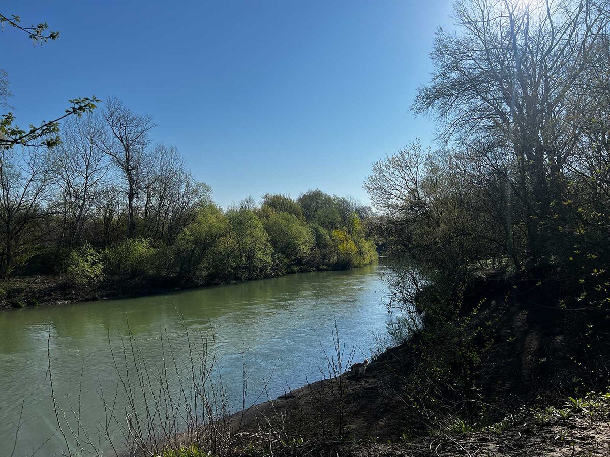 Если присмотреться, внизу у самой реки бегает мой песик. Это его любимое место - водопой после прогулки.