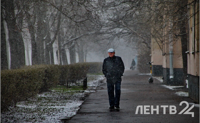    © Анастасия Илюшина / ЛенТВ24, архивное фото