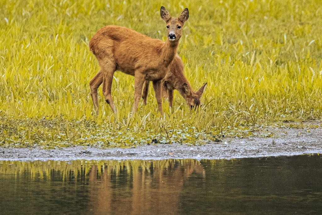    Фото © Unsplash.com