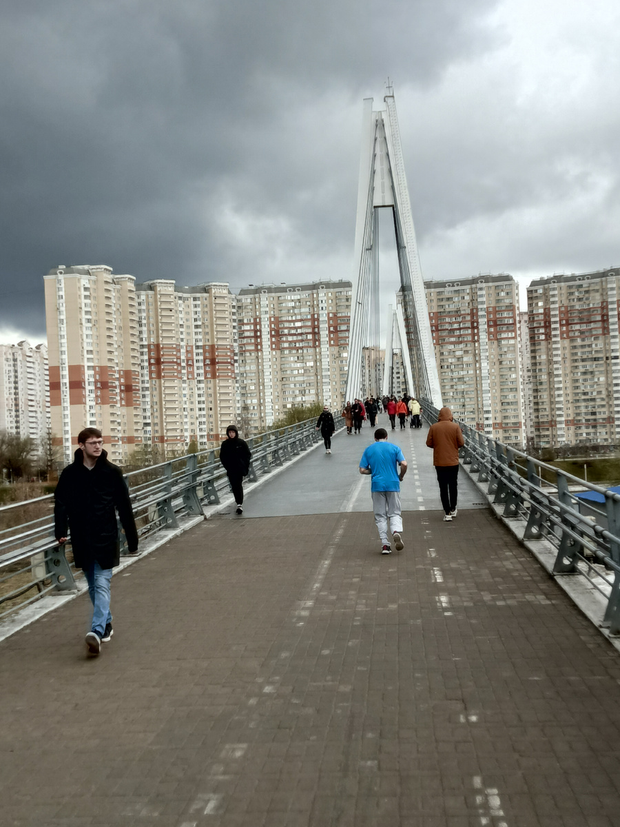 Павшинский пешеходный мост. 