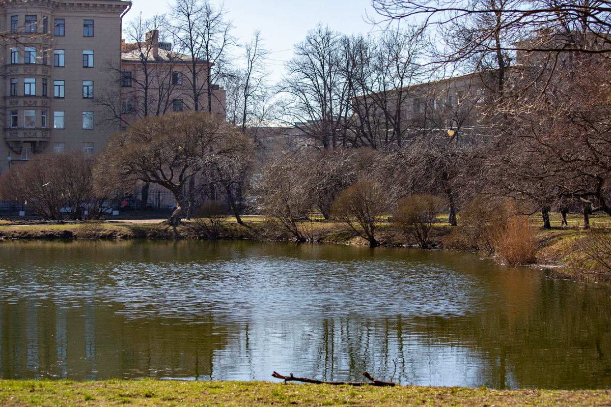 Сад Девятого Января