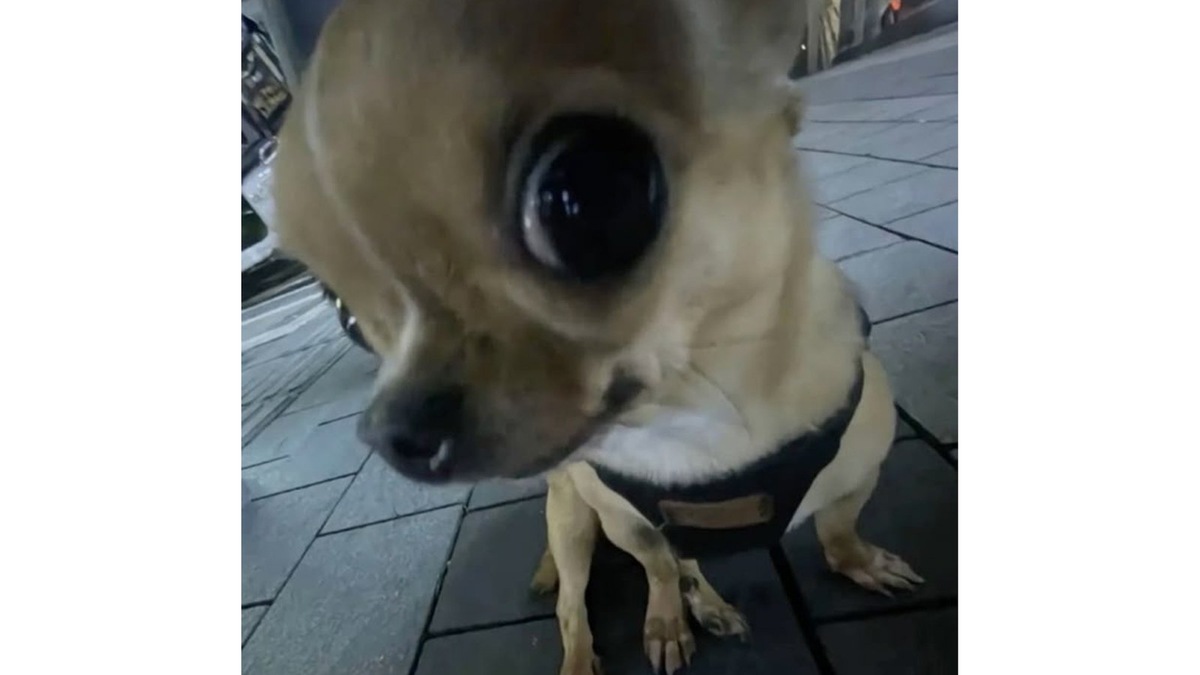    Ставим 10 хороших мальчиков из 10 этому парню