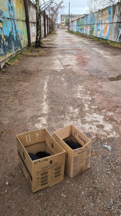 Коробки со щенками подкинули к дверям приюта
Фото: из группы приюта «Лесопилка» в соцсети «ВКонтакте»