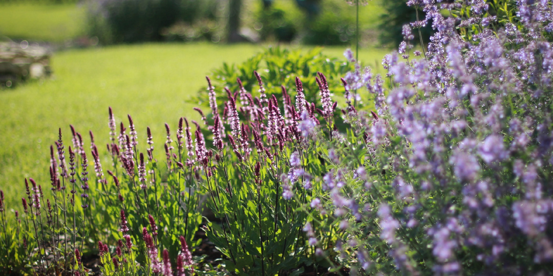 Ландшафтный профайлинг: Почему ваш пиджак и ботинки диктуют мне проект сада.