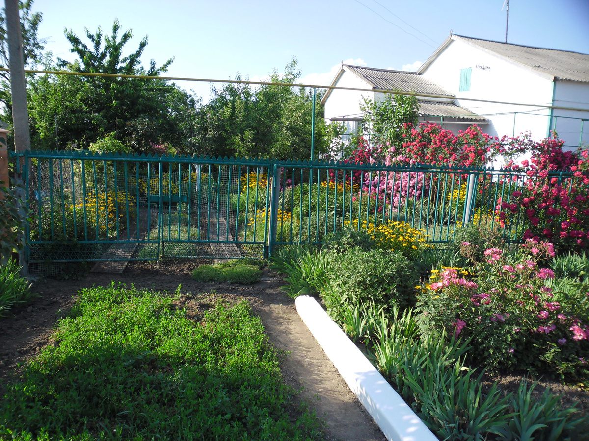 Самый цветущий двор - своими руками без дизайнеров