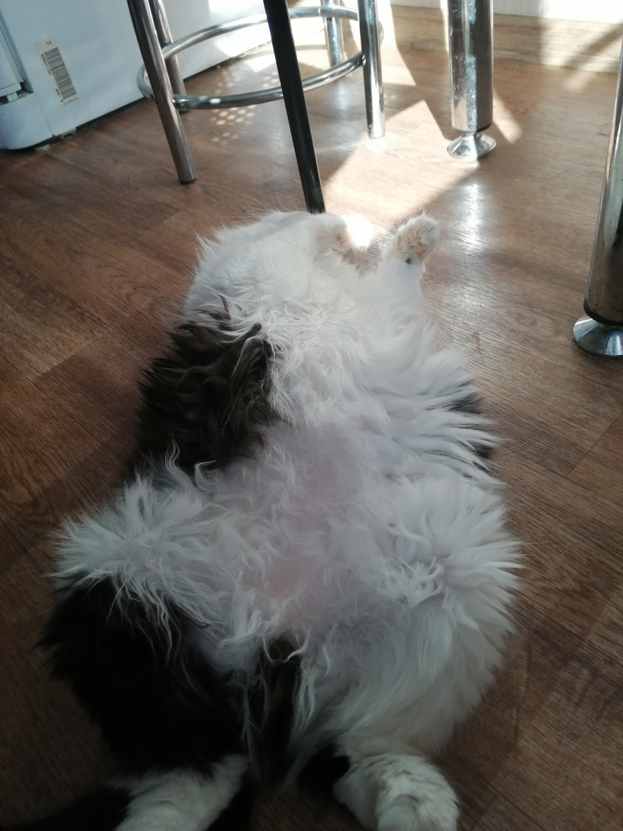 Лиза радостно раскидывает шубку на полу. А кто мыть будет? Пушкин? 