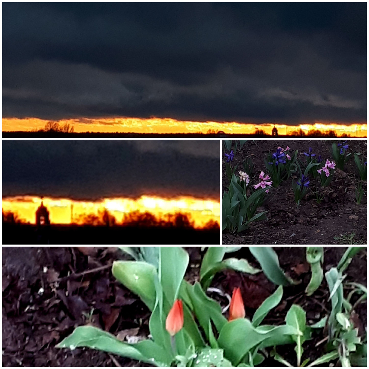 Коллаж автора 06.04.2026г.