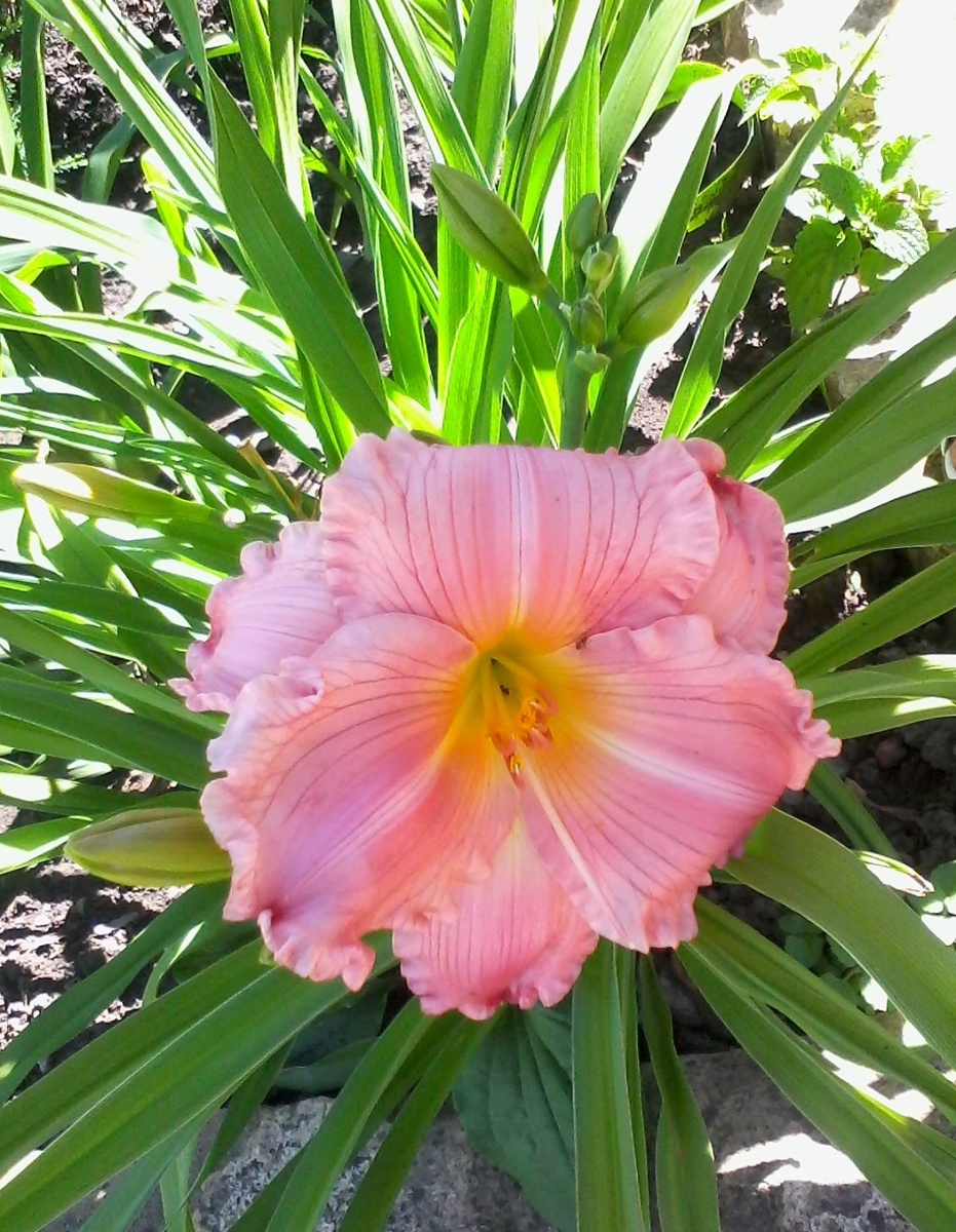 Это и далее фото из личного архива