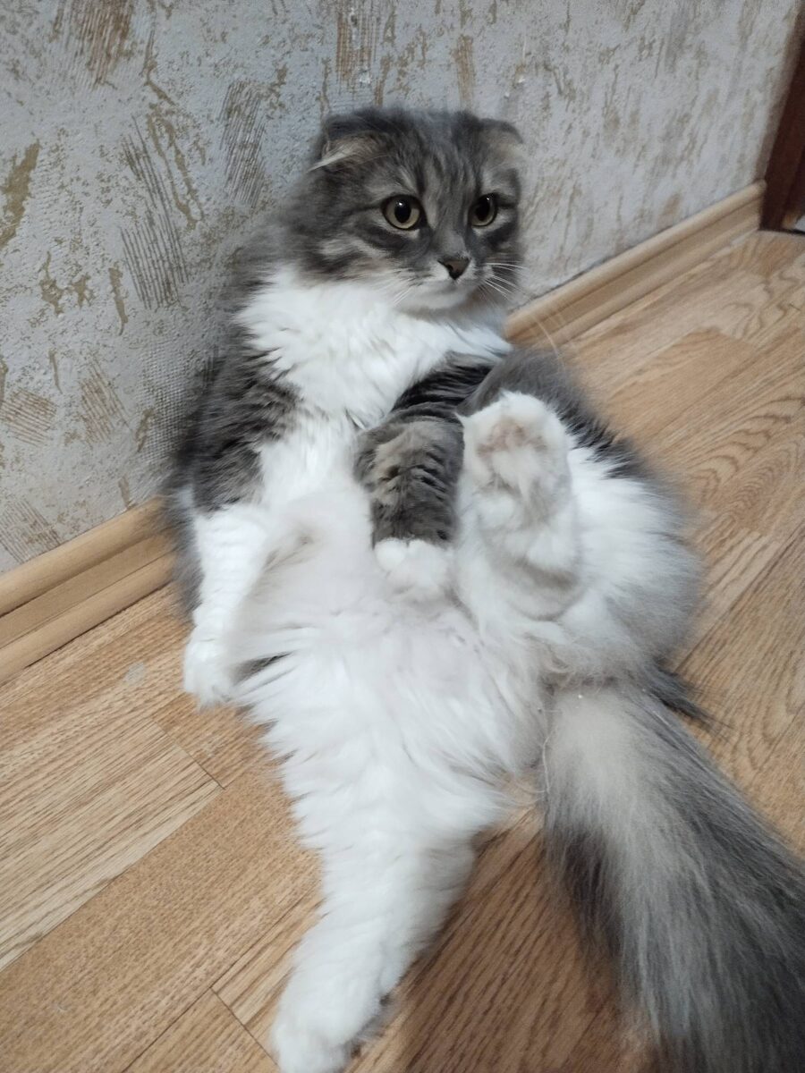 Фитнесовая в разгаре!