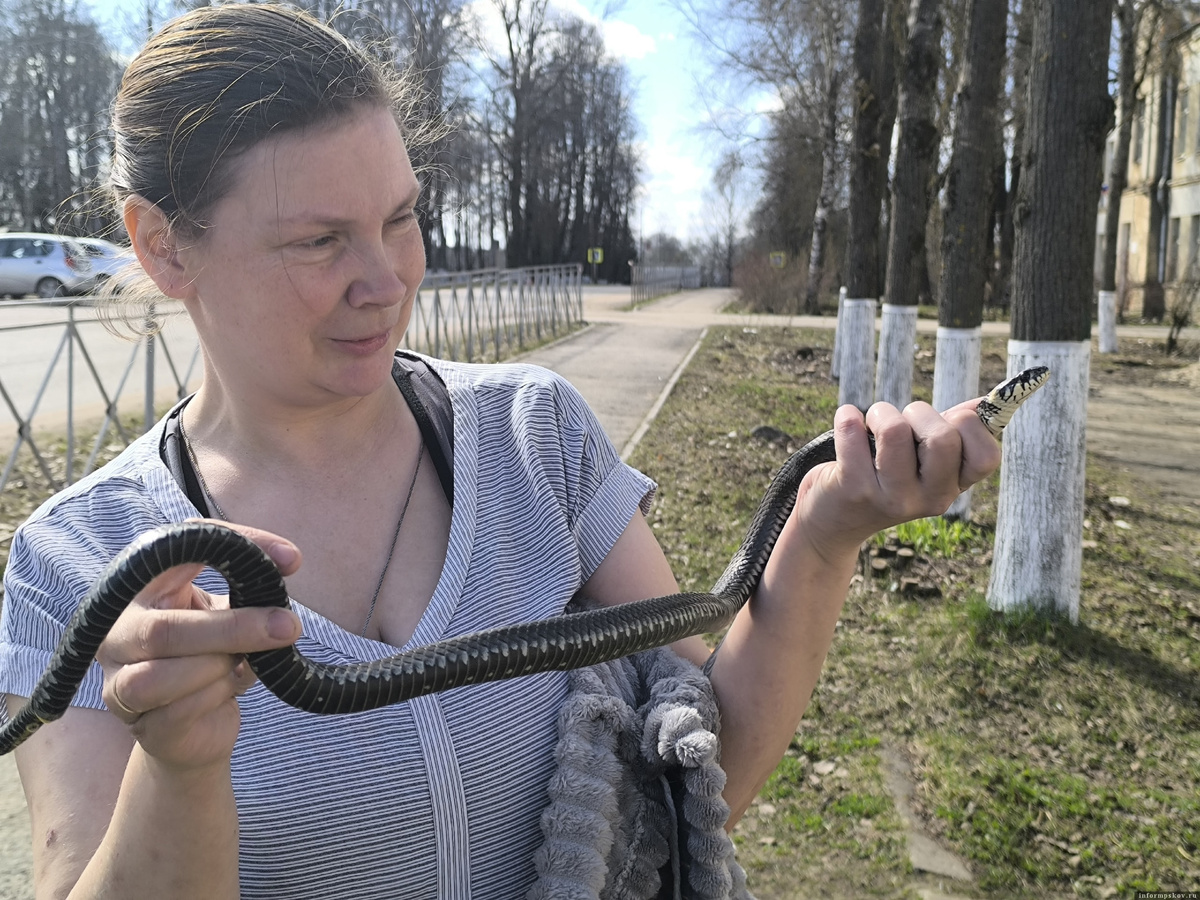 Фото здесь и далее: редакция районной газеты «Пламя»