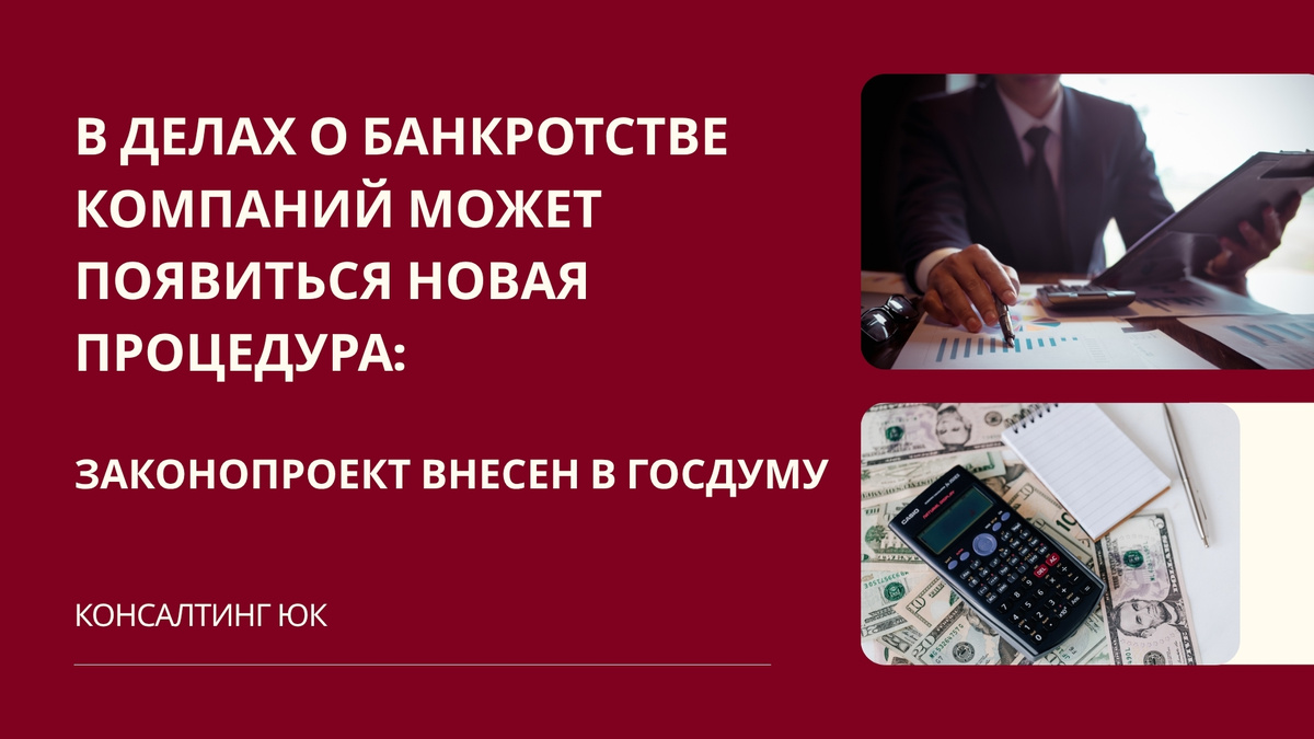 В делах о банкротстве компаний может появиться новая процедура
