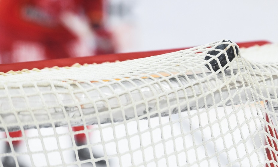    Федерация хоккея Болгарии натурализовала двух россиян для участия в ЧМ. Фото: Global Look Press