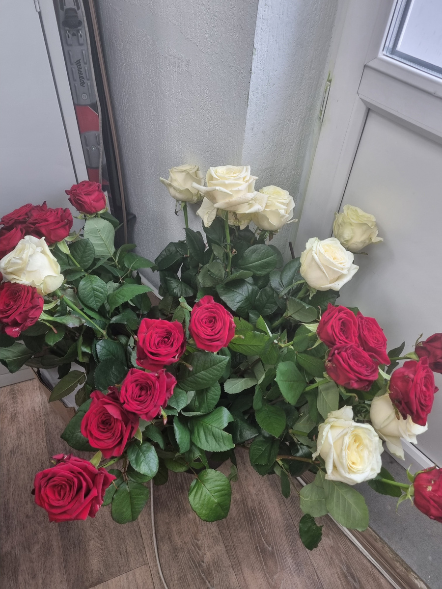 Шикарные розы