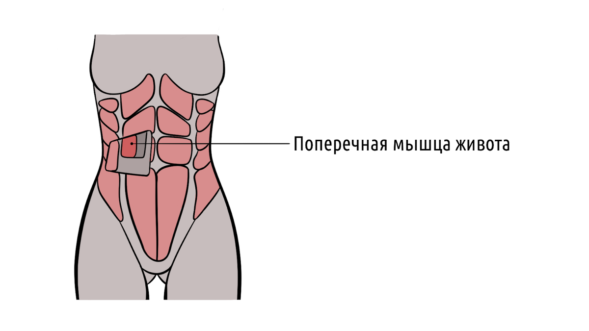 фото из открытого источника