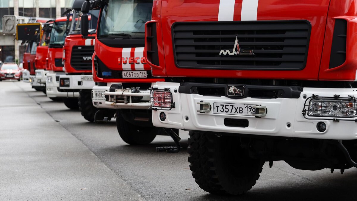    Фото: ИЗВЕСТИЯ/Евгений Павлов