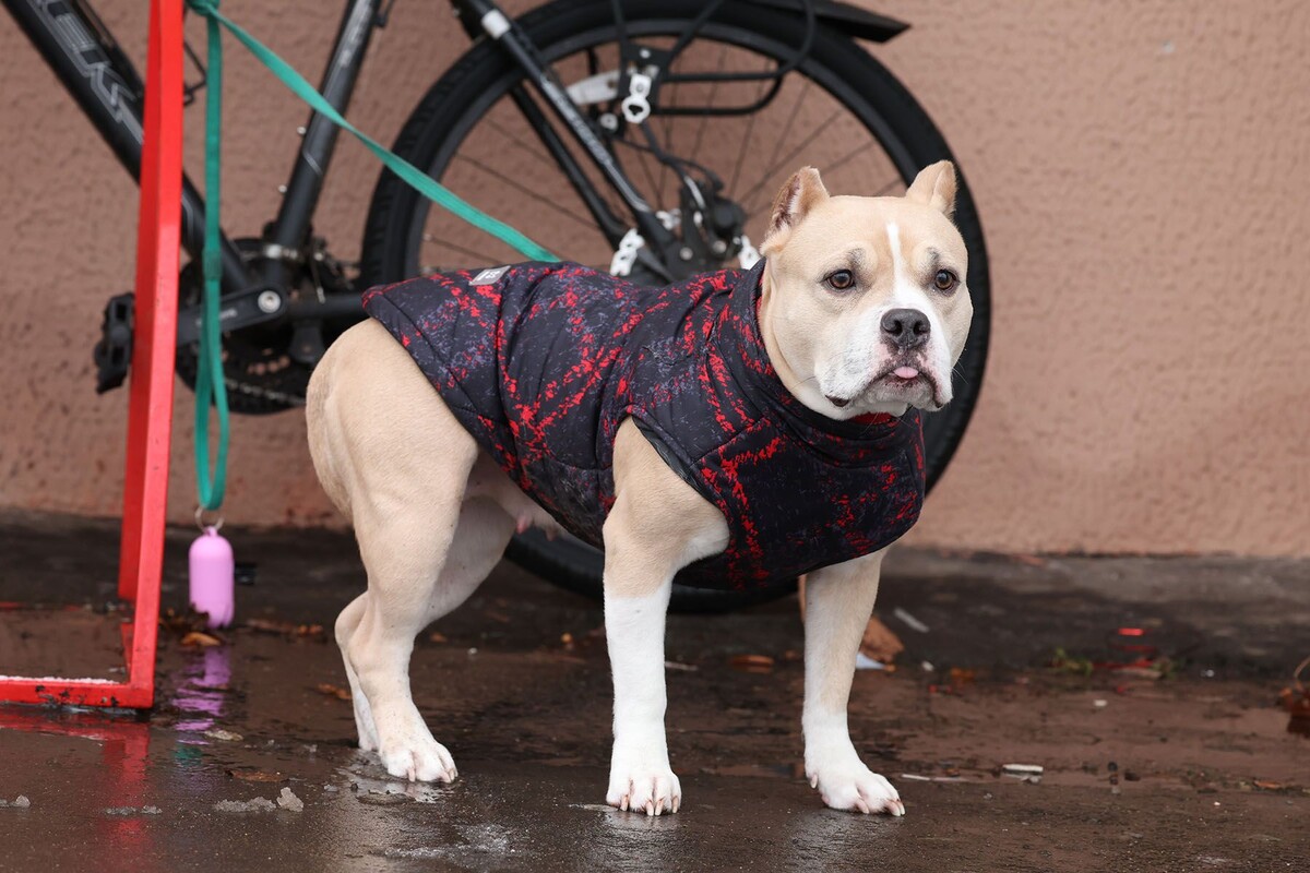  © Павел Орловский, Times.by