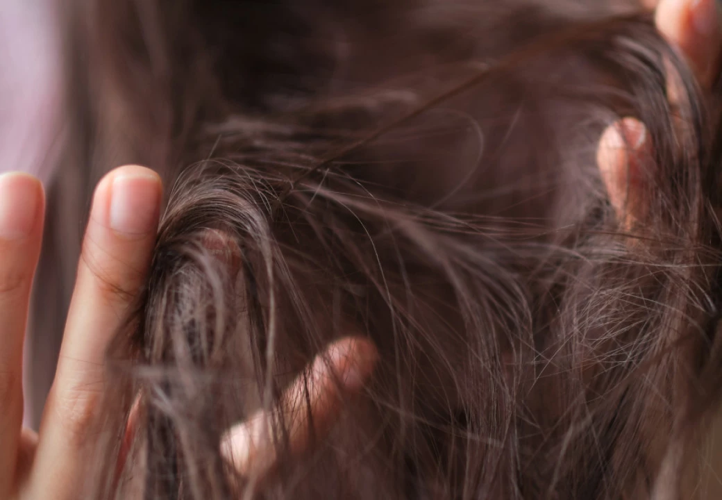 Фото: Yavdat | Shutterstock | Fotodom