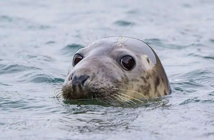    Фото: Alamy Stock Photo