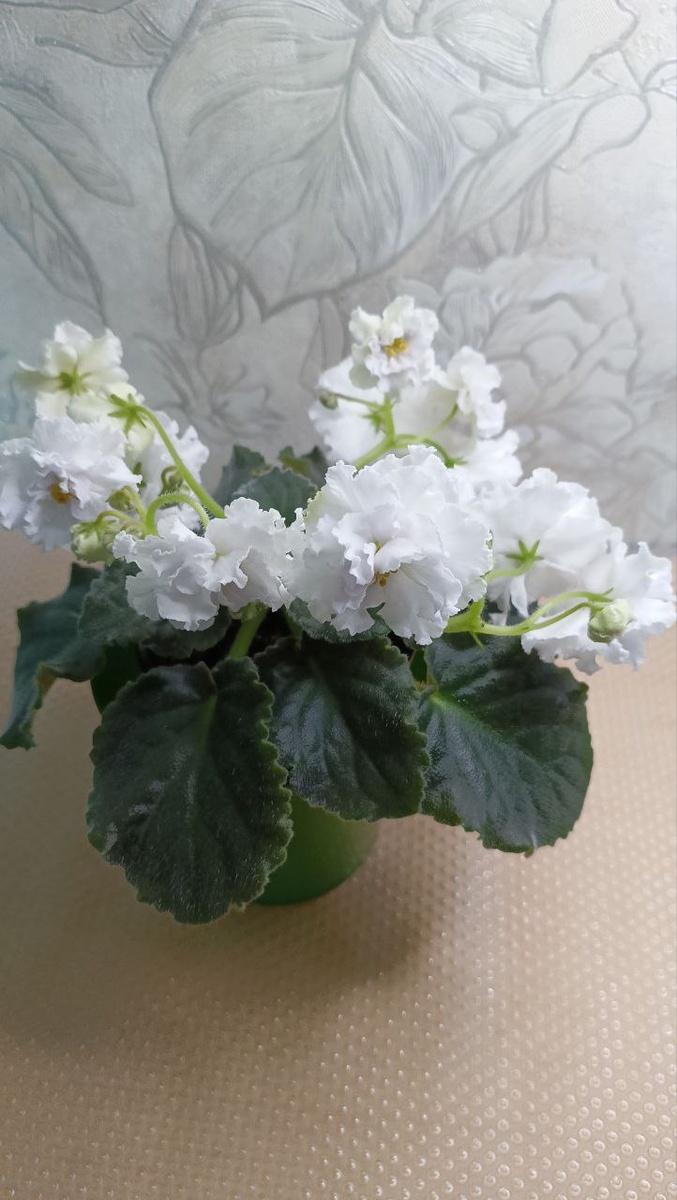 СМ- Букет Невесты