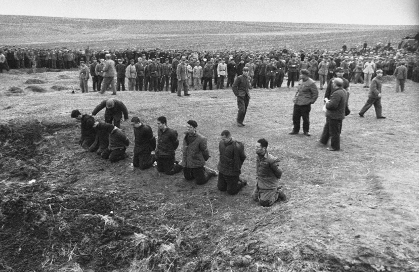 Высшая мера: Анатомия государственного террора и за что расстреливали в СССР