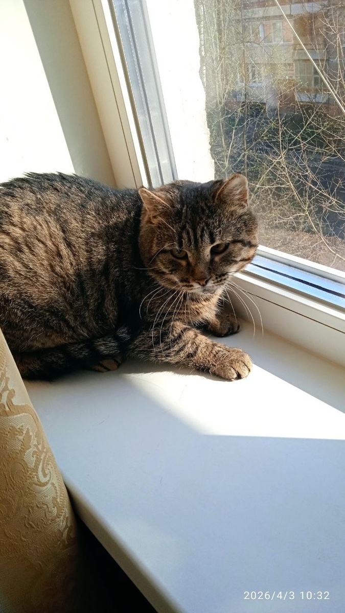 Ну у меня и история необыкновенная, поэтому исключение можно было сделать