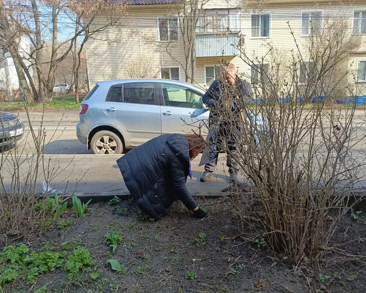     В Курске с 18 апреля по 3 мая состоится акция «Мы за чистоту»