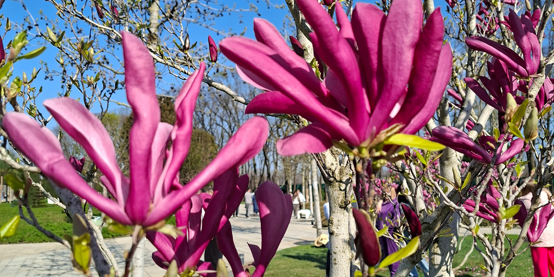 Приехала в апрельский Краснодар. Не пойму весна сейчас или лето.🥰 Праздники встречаю здесь