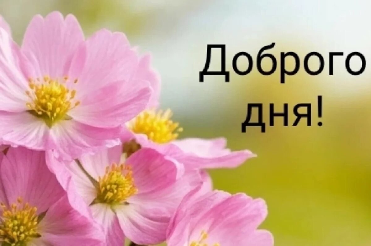    Скачать бесплатно.