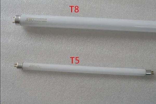 Люминесцентные лампы Т8 и Т5: классика аквариумного освещения. Т5 компактнее и эффективнее, но обе модели просты в установке