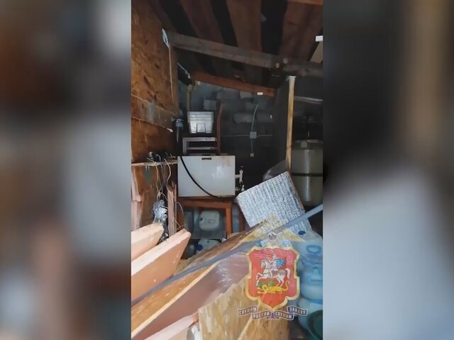    Фото: телеграм-канал "Подмосковная полиция"