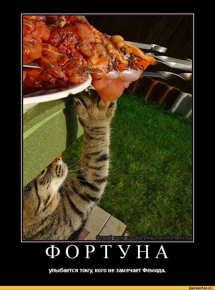 источник Яндекс-картинки