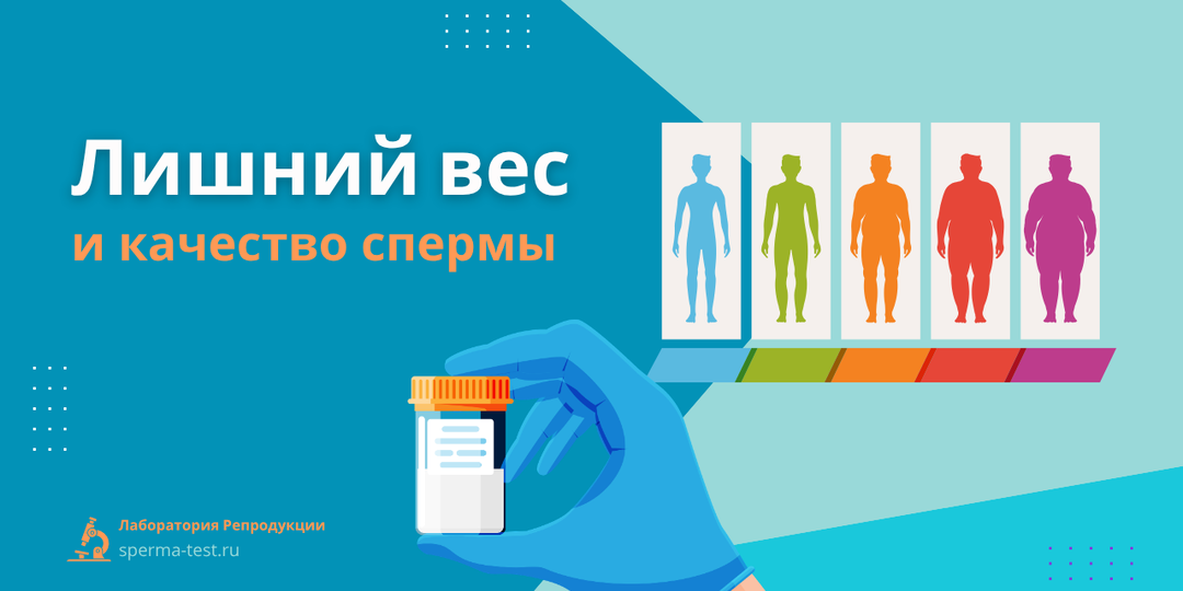 Почему мужчинам с лишним весом бывает сложнее зачать ребёнка?
