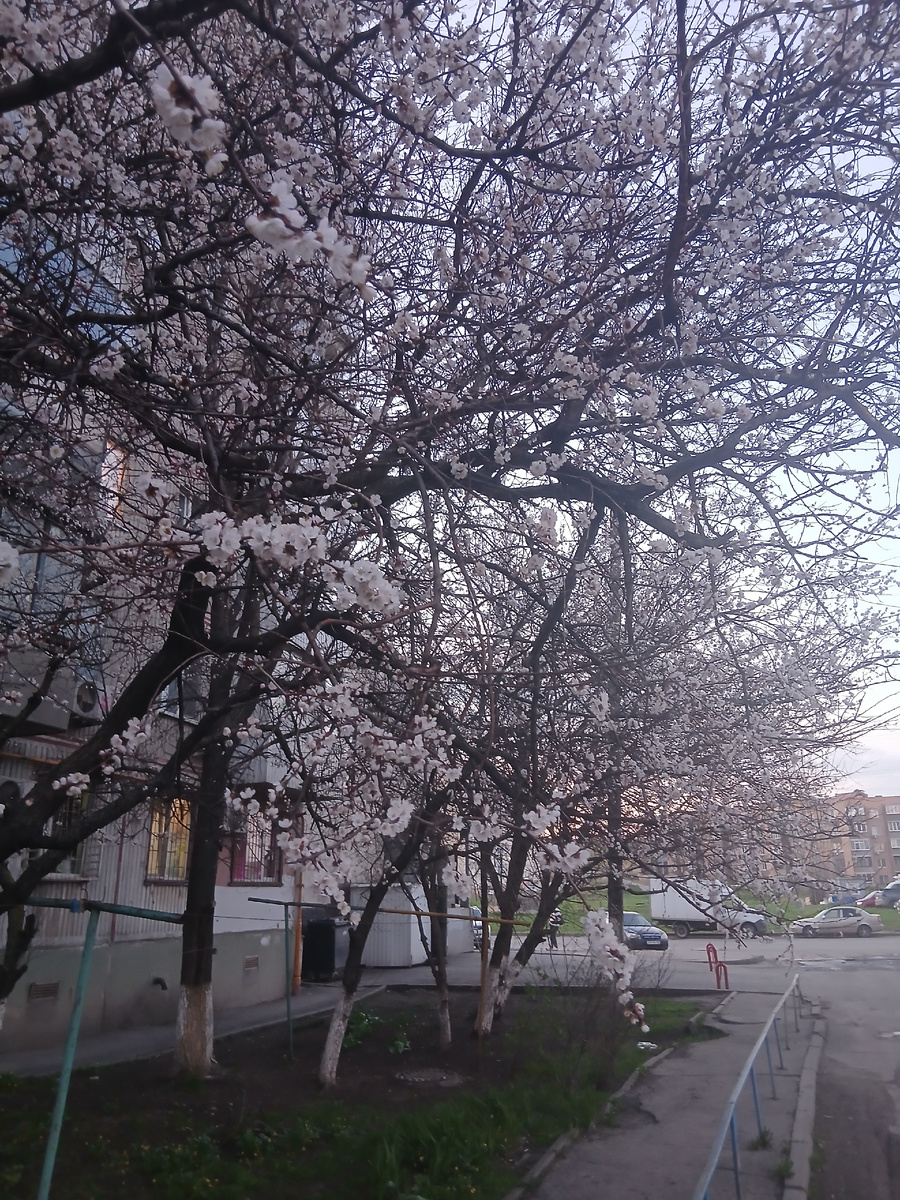 Это недалеко от дома