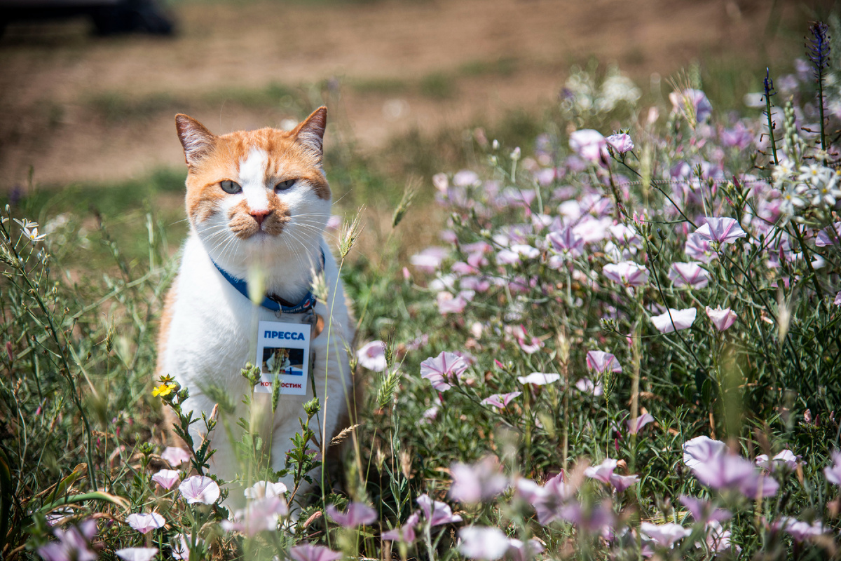 Ну, и кто тут главный цветочек?